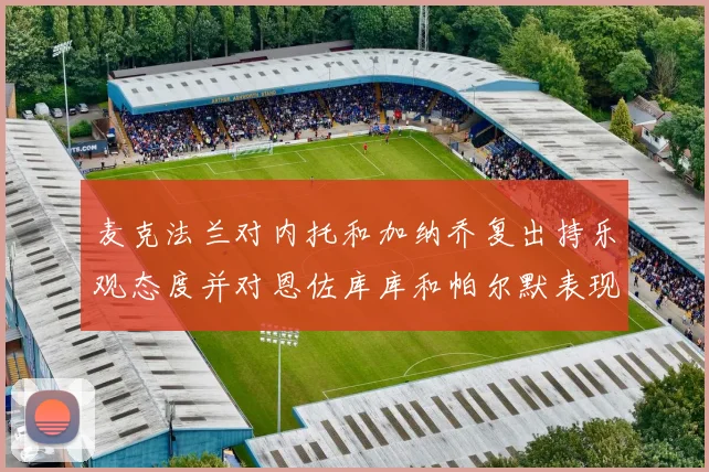 麦克法兰对内托和加纳乔复出持乐观态度并对恩佐库库和帕尔默表现表示满意